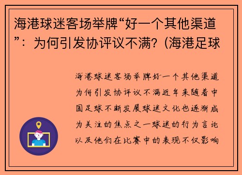 海港球迷客场举牌“好一个其他渠道”：为何引发协评议不满？(海港足球比赛直播)