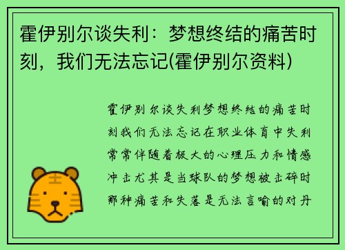 霍伊别尔谈失利：梦想终结的痛苦时刻，我们无法忘记(霍伊别尔资料)