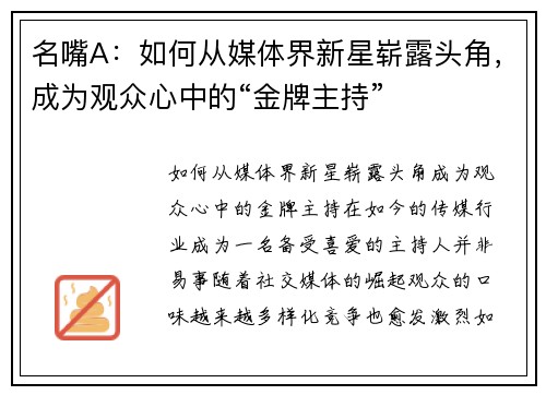 名嘴A:如何从媒体界新星崭露头角,成为观众心中的“金牌主持”